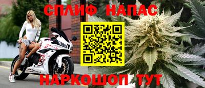 спайс Краснознаменск