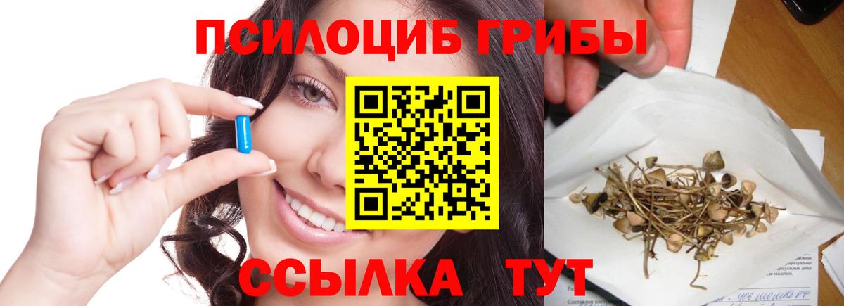 Псилоцибиновые грибы Psilocybine cubensis Калуга