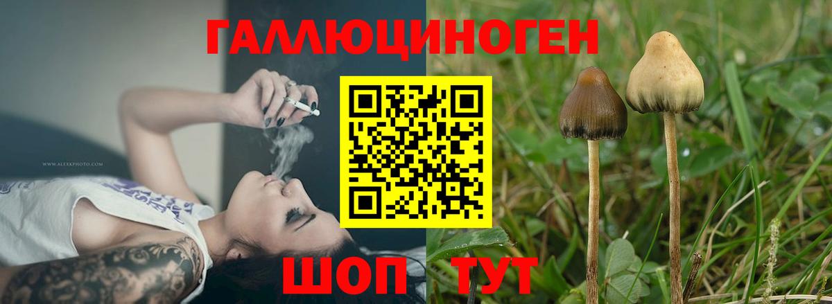 Калуга  Псилоцибиновые грибы GOLDEN TEACHER  Вход с VPN 